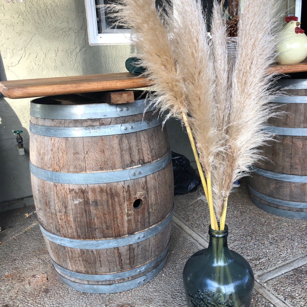 Pampas grass